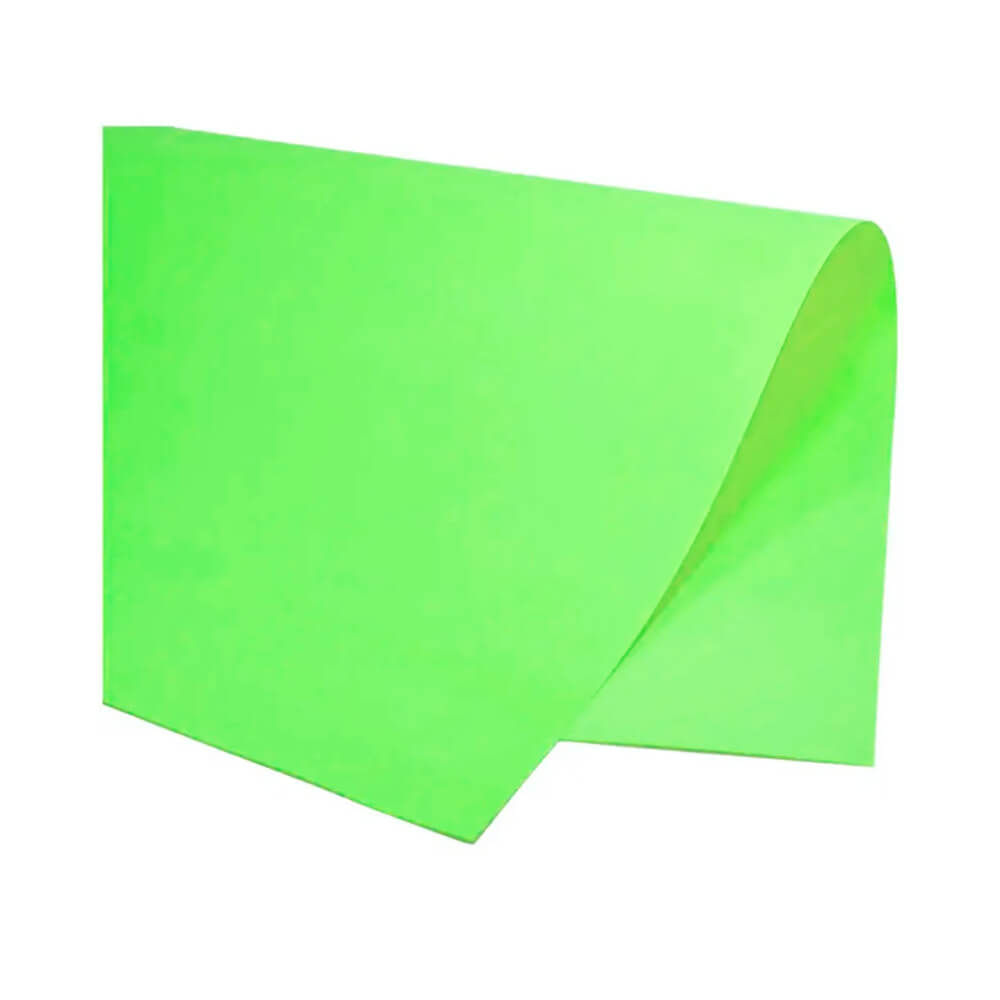 Papel Color Set Verde Claro 66x48 Com 20 Folhas - Ridet Color Set Verde Claro 66x48 C/20 Ridet