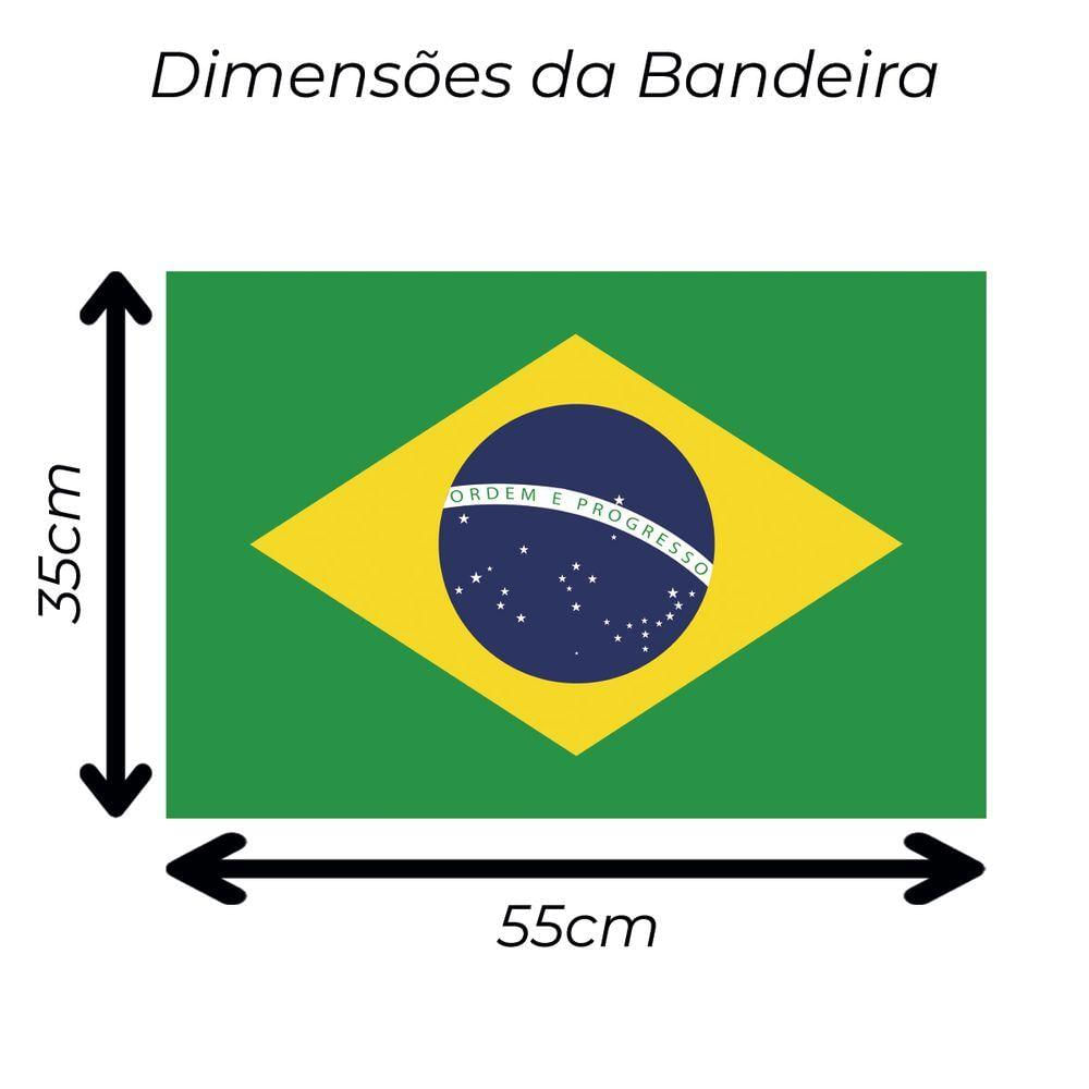 Bandeira Do Brasil Oficial Em Cetim Pequeno 55Cm X 35Cm