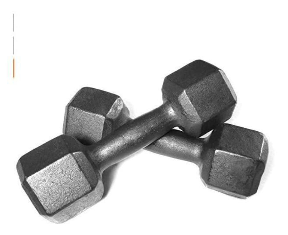 Halter Par 10 Kg Musculação Anilhas Dumbell Fitness
