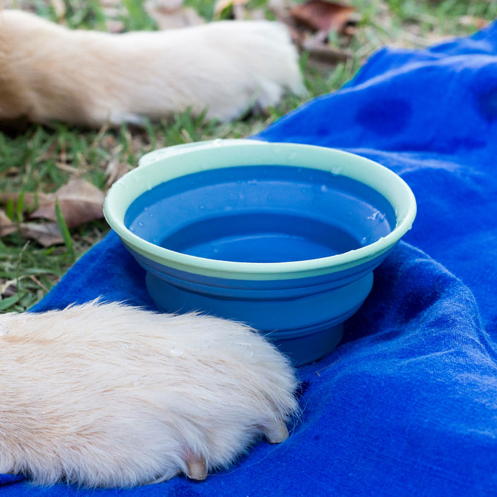 Bowl Retrátil para PET Azul OIKOS Animal